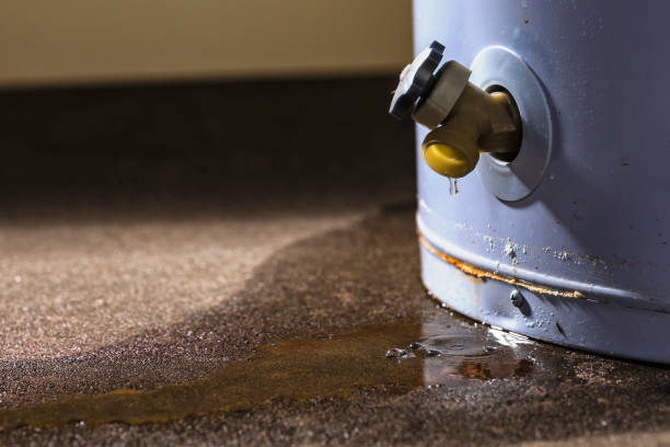 Best Water damage contractors near me  in Steep Falls, ME