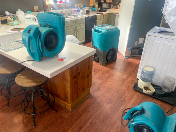 Best 24-hour water damage restoration  in Steep Falls, ME
