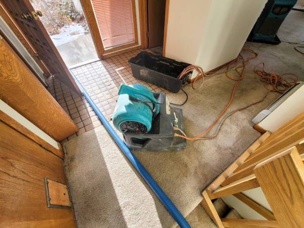 Best Mold removal after water damage  in Steep Falls, ME