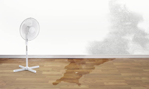 Best Fire Damage Restoration  in Steep Falls, ME