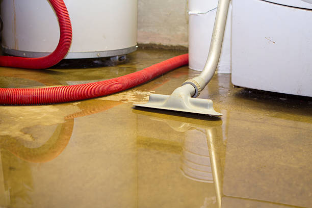 Best Carpet water damage restoration  in Steep Falls, ME