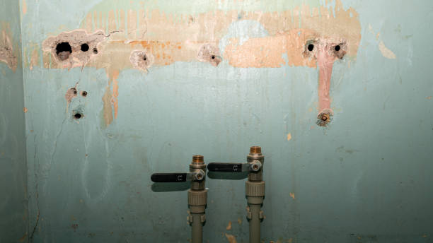 Best Ceiling water damage repair  in Steep Falls, ME