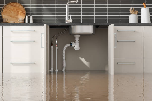 Best Basement water damage restoration  in Steep Falls, ME